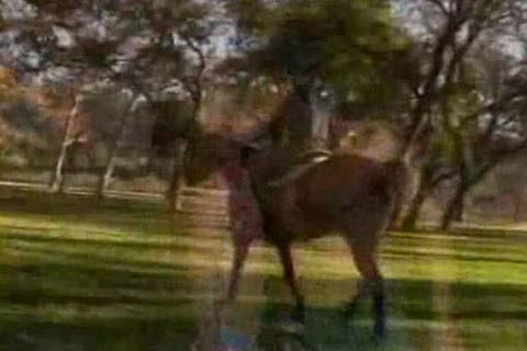 Jeff Stryker Country pound