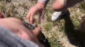 males In Public 5 – Hike - anal sex