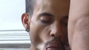 Hung Latinos Go Gay4pay