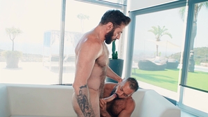 Bromo: Scott Carter's Hairy Chests