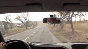Riding in Sinful Seclusion with Hitchhiking Rogues